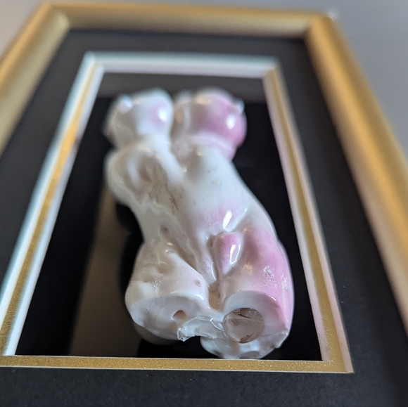 🗽 Hand blown Women's Torso In Frame - Picture 4 of 8